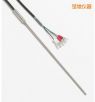 快速響應(yīng)鉑電阻溫度計(jì)
